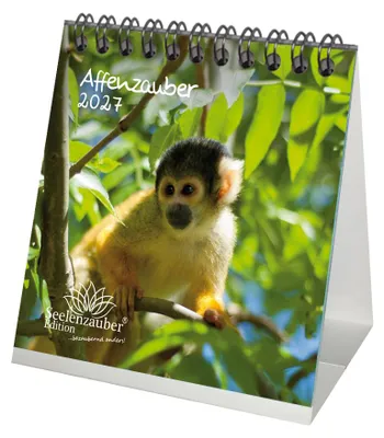 Produktbild von Affenzauber Tischkalender 10x10cm für 2027 Affen - Seelenzauber