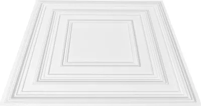 Immagine prodotto di Pannelli per controsoffitto, confezione da 12, 24 x 24 pollici, PVC, facile installazione, motivo a pioli bianchi