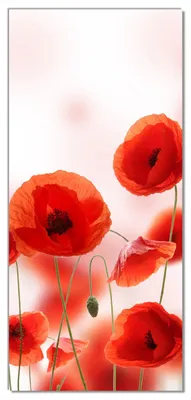 Produktbild von Wallario selbstklebende Türtapete 93 x 205 cm - Leuchtende Mohnblumen - Rote Mohnblumenblüten - Abwischbar, rückstandsfrei zu entfernen