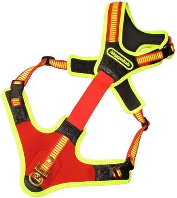 A dog harness is laid out flat against a white background.