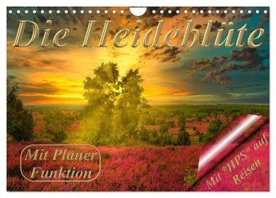 Produktbild von Die Heideblüte (Wandkalender 2027 DIN A4 quer), CALVENDO Monatskalender