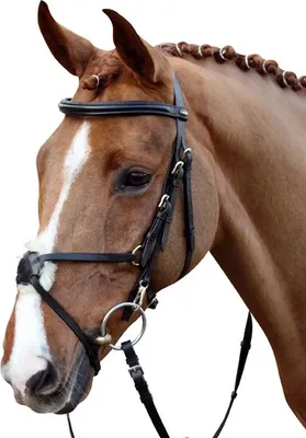 Produktbild von Reittrense -Mexican Style- mit Lammfellpolster, Farbe:braun, Groesse:Warmblut