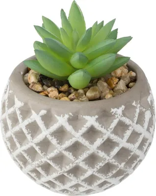 Produktbild von Künstliche sukkulente zementtopf h9cm  - Atmosphera créateur d'intérieur