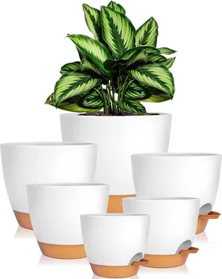 Productafbeelding van Famanu bloempot met onderzetter, zelfwatergevend, set van 6, rond, wit