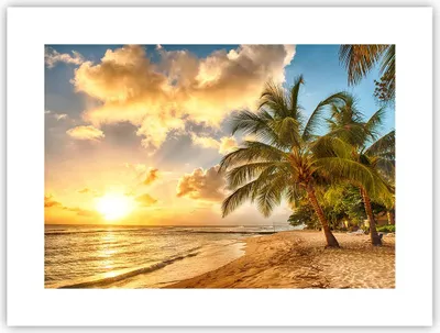 Produktbild von Poster - Poster ohne Rahmen - Strand Meer Palme - 40x30 cm - Wand Bild - Wanddeko - Wandbilder - Kunstposter - Wandposter - Bilder - Kunstdruck - Wanddekoration - Wandbild - P2XAA40x30-3606