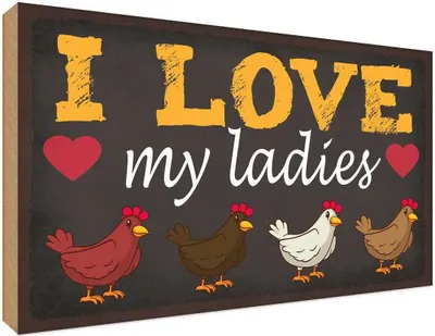 Produktbild von vianmo Holzschild 30x40 cm Hühner i love my ladies Tier Haustier