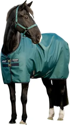 Produktbild von Horseware Ireland Weidedecke 100g Amigo Ripstop 900D Turnout Decke Dynasty Green/Navy & Silver 155 cm