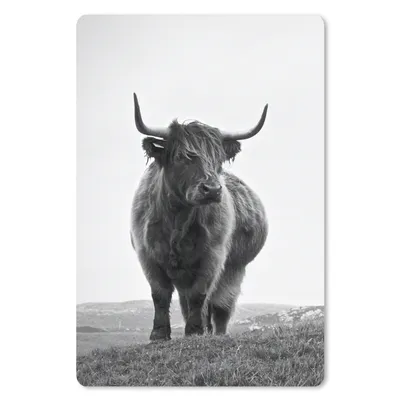 Produktbild von MuchoWow® Mauspad Mousepad Tiere - Schottische Hochlandbewohner - Schwarz und weiß - Natur - Ländlich 18x27 cm - Mousepads - Maus Mat - Pad - Mausunterlage