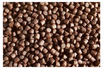 Produktbild von Koifutter mit Betaglucan für Koi, Schwimmfutter zur Unterstützung der Abwehrkräfte, Vitalität und Gesundheit der Koi, 5mm, 5kg