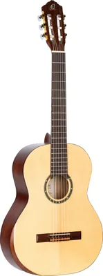 Produktbild von ORTEGA R55DLX Family Pro Series