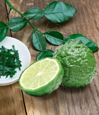 Produktbild von BALDUR Garten 1x Kaffir-Limette, Pflanze im 12 cm-Topf, Citrus hystrix, Kaffernlimette, mehrjährig - frostfrei halten, trockenresistent, pflegeleicht, Wasserbedarf gering, blühend