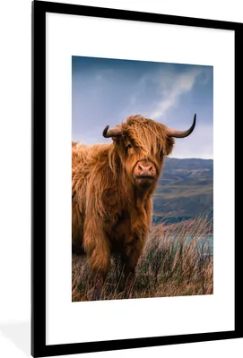 Produktbild von MuchoWow® Gerahmtes Poster Schottischer Highlander - Berg - Wasser - Natur - Kuh 60x90 cm - Poster mit Schwarzem Bilderrahmen Wandposter Rahmen Foto Bilder - Dekoration - Wandposter Wohnzimmer - Hochwertig