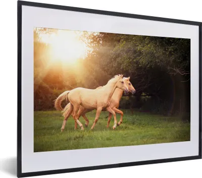 Produktbild von MuchoWow® MuchoWow® Gerahmtes Poster Pferde - Wald - Sonne 40x30 cm - Poster mit zchwarzem Bilderrahmen - Bilderrahmen - Poster im Rahmen