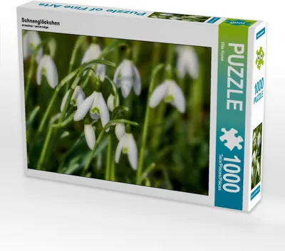 Produktbild von Calvendo Schneeglöckchen 1000 Teile Puzzle quer 640x480mm, Krone Elke; 7408851