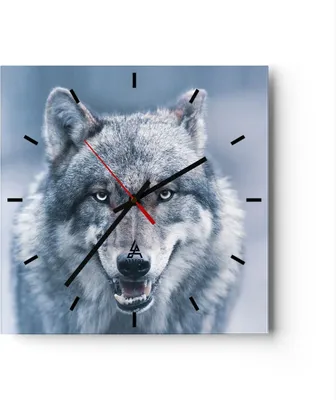 Produktbild von Wanduhr - Quadrat - Glasuhr - Wolf Raubtier Wildheit - 30x30cm - Schleichendes Uhrwerk - Lautlos - zum Aufhängen bereit - Dekoration Modern - Wanddekoration aus Glas - C3AC30x30-5073