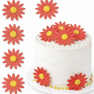 Produktbild von Rotes Margeriten-Waffelblümchen, 5,5 cm – essbare Dekoration für Torten und Kuchen, 5 Stück