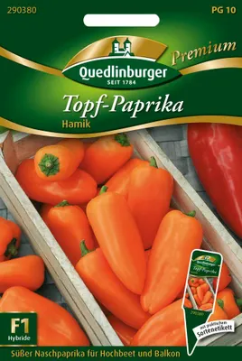 Produktbild von Topf-Paprika Hamik F1 | Paprikasamen von Quedlinburger