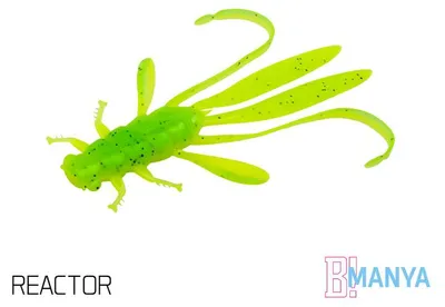 Image de DELPHIN MANYA UV, Nymphe, 10,5 cm, REACTOR, lot de 5, 101002267