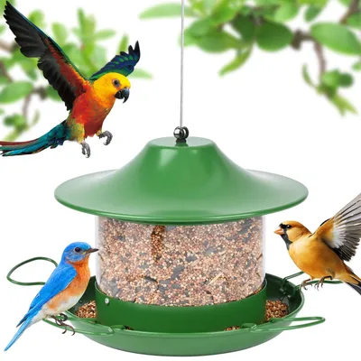 Immagine prodotto di Distributore di cibo per uccelli da appendere, con alimentatore a 360° - Adatto per giardino e balcone
