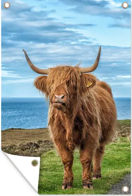 Produktbild von MuchoWow® 40x60 cm Outdoor-Poster Gartendeko Sichtschutz Garten Poster für den Garten  Schottischer Highlander - Wasser - Hörner