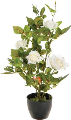 Produktbild von Künstliche rose topf zement h50cm - Atmosphera créateur d'intérieur