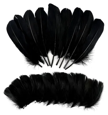 Produktbild von Schwarze Federn zum Basteln, 300 Stück, Natürliche Bastelfedern für Traumfänger, Ohrringe, DIY-Projekte, Kopfschmuck, Hochzeiten (2 Stile)