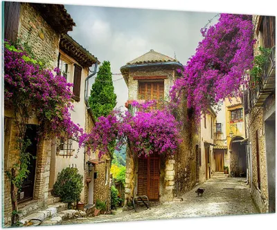 Produktbild von Bilder auf glas - Straße Sommer Blumen - 100x70cm - Glasbilder - Wandbilder - Kunstdruck - zum Aufhängen bereit - Wanddekoration aus Glas - Glas Bilder - Wandbild auf Glas - Einteilig - GAA100x70-3589