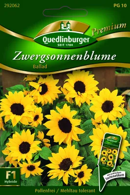 Produktbild von Quedlinburger Saatgut - Zwerg-Sonnenblumen Ballad - Samen - 292062