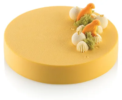 Immagine prodotto di Stampo in silicone rotondo Pearl 20 x 4 cm