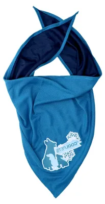Produktbild von Bandana - Mittel - 45 x 45 cm - 1 Stück