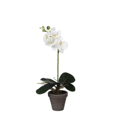 Produktbild von Mica Decorations Phalaenopsis Kunstpflanze in Blumentopf - H48 x Ø13 cm - Weiss