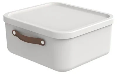 Produktbild von Rotho Aufbewahrungsbox 20 L Maloja - Kunststoffbox mit Deckel - Stapelbox 39,5 x 38,0 x 17,7 cm - Plastikbox Ordnungsbox Allzweckkiste