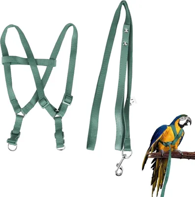 Obrázok produktu pre Postroj pre vtáky Riem Macaw Cockatoo - Roztomilý dúhový dizajn - Bezpečný postroj pre papagáje - Nastaviteľný postroj proti uhryznutiu