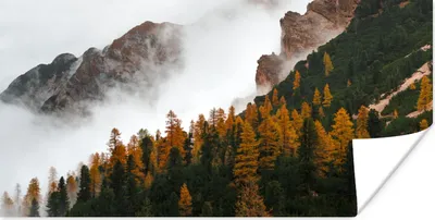 Produktbild von MuchoWow® Poster Kiefer - Herbst - Berg - Landschaft 40x20 cm - Poster für die Wand - Poster Schlafzimmer