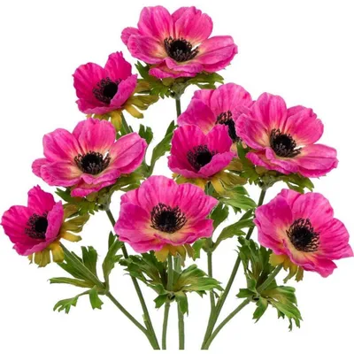 Zdjęcie produktu dla Zestaw 3 sztuk sztucznych anemonek, różowe, 55 cm. Sztuczne kwiaty, dekoracyjne kwiaty do bukietów