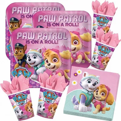 Produktbild von Skye & Everest Paw Patrol Partyset zum Kindergeburtstag für 8 Kinder