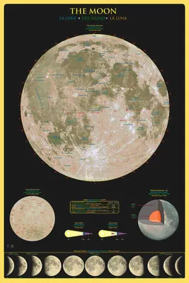 Produktbild von Poster - Educational - Bildung - Moon Mond