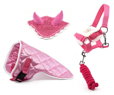 Productafbeelding van Een set roze accessoires voor een hobbypaard: hoofdstel, longeerlijn, deken en bitje