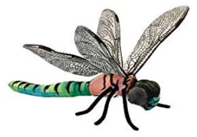 Produktbild von Anima Plüschtier Libelle 34 cm - Hansa