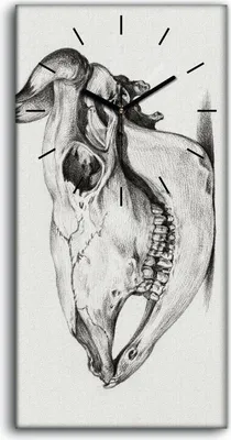 Produktbild von Küchenuhr Bürouhr Leinwand Uhr Quarz 30x60 Zeichnung Tier Kuh Schädel Kunst - schwarze Hände