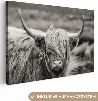 Produktbild von MuchoWow® - Leinwandbilder - Schottischer Highlander - Kuh - Tiere - Schwarz-Weiß - Ländlich, Wandbild, Wanddeko Bilder Wohnzimmer, 120x80 cm