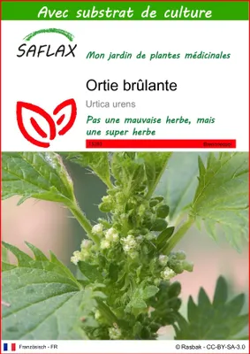Image de SAFLAX - Ortie brûlante - 150 graines - Avec substrat - Urtica