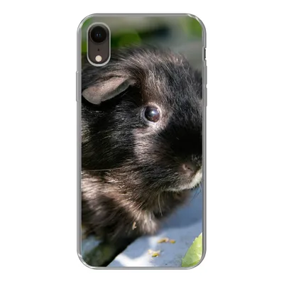 Produktbild von MuchoWow® Handyhülle Schutzhülle Hülle für iPhone XR Meerschweinchen im Garten Silikon Softcase Handy Hülle - Schutzdeckel