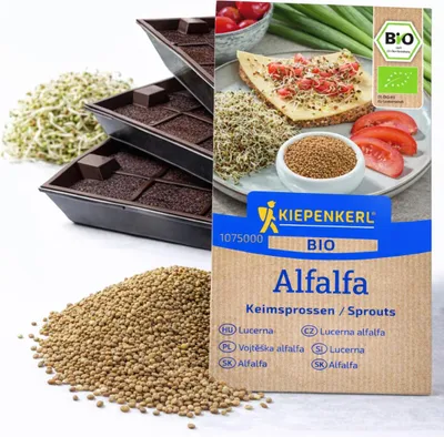 Produktbild von Samenshop24® Keimsprossen "Alfalfa" Anzucht-SET, Saat + 3 Keimschalen (das Original)