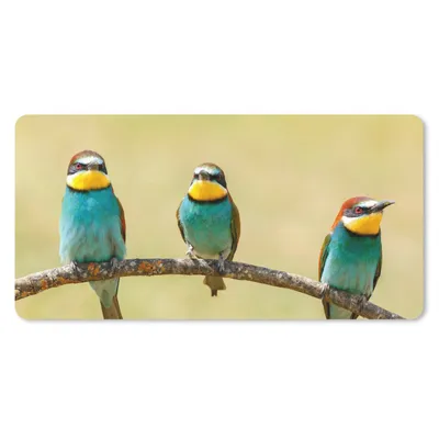 Produktbild von MuchoWow® Mauspad Mousepad Vögel - Tiere - Bienenfresser 60x30 cm - Mousepads - Maus Mat - Pad - Mausunterlage - Nachhaltig