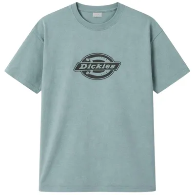 Immagine prodotto di T-shirt Dickies Plainville da Uomo