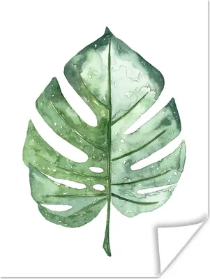 Produktbild von MuchoWow® Poster Aquarell - Monstera - Blatt 90x120 cm - Wohnzimmer