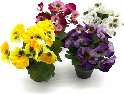 Zdjęcie produktu dla Sztuczna fioletowa roślina w czarnej doniczce - 21 cm - 4 różne kolory - żółty, fioletowy, różowy i biały
