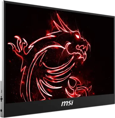 Image de MSI Optix MAG161V, 39.6 cm (15.6"), 1920 x 1080 px, Full HD, DEL, Noir