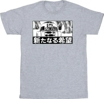 Produktbild von Star Wars - T-Shirt für Herren BI46866 (XXL) (Grau)